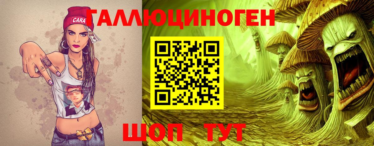 Дивногорск  Псилоцибиновые грибы прущие грибы  Псилоцибиновые грибы MAGIC MUSHROOMS  Вход с VPN 