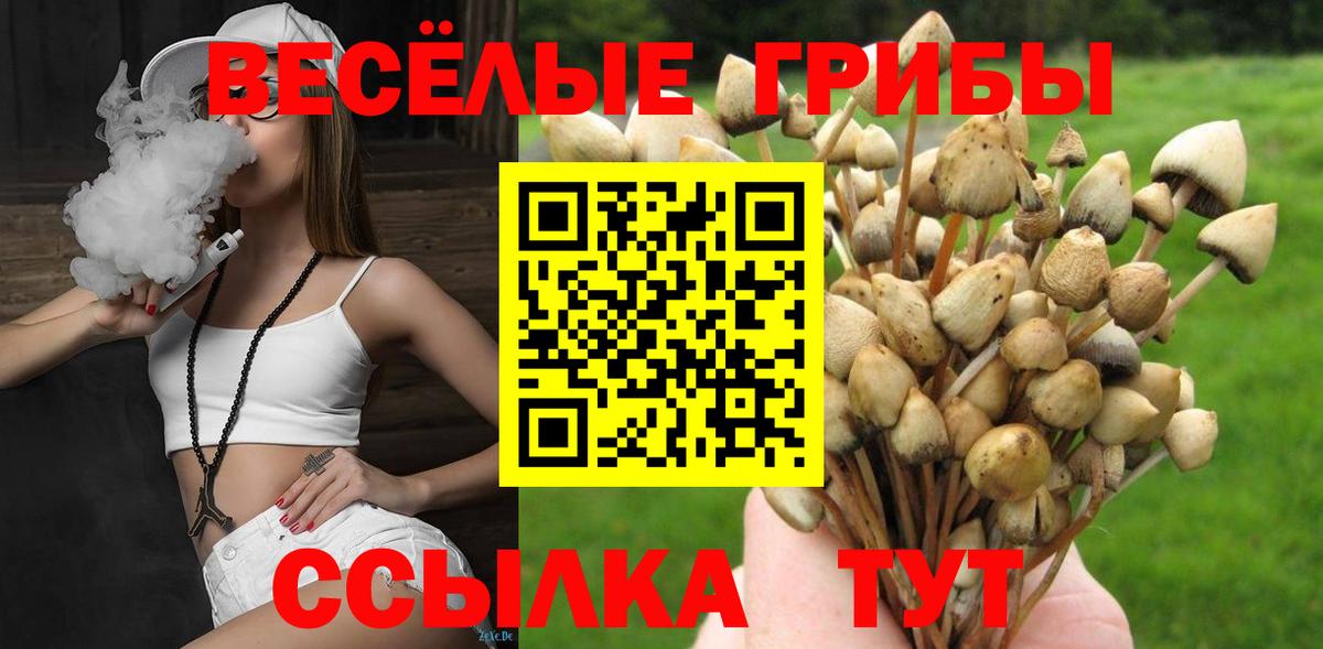 Псилоцибиновые грибы мухоморы Дивногорск
